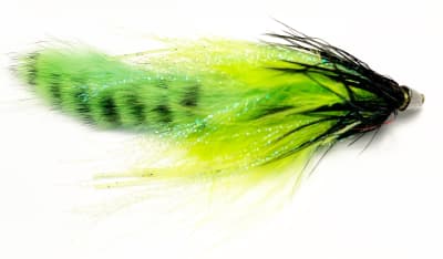 Zonker CC Verde Negro Grizzly1