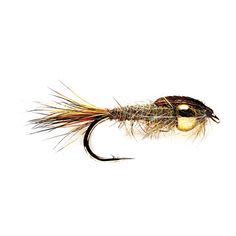 Mosca Ninfa   DRAGON Gold Head March Browne Spider1