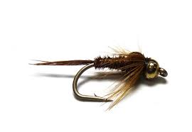 Mosca Ninfa   DRAGON Gold Head Pheasant Tail1