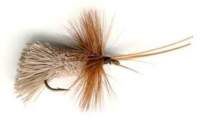 Mosca Seca  DRAGON G&H Sedge1