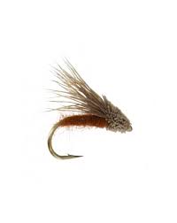 Streaking Caddis1
