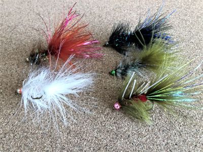 Selección Woolly Bugger Río Puelo1