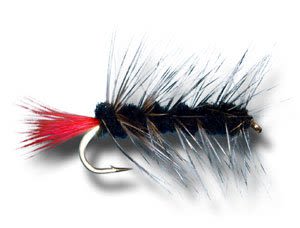 Mosca Streamer  DRAGON Woolly Worm Black1