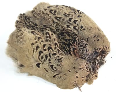 Wapsi Fly Hen Pheasant Skin1