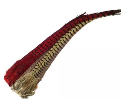 Ringneck Pheasant Tail Clumps2