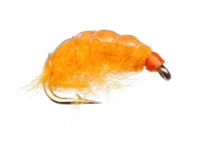 Nymph Orange Scud1