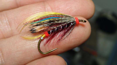 Moscas, Patrones a pedido1