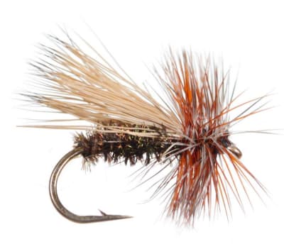Dry Caddis Peacook Caddis3