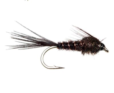 Nymph Pheasant Tail Black2