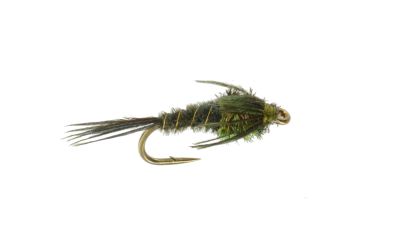 Nymph Pheasant Tail Olive1