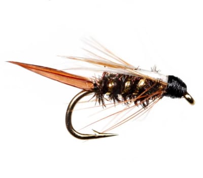 Nymph Prince Nymph1