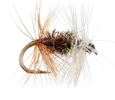 Dry Renegade 1