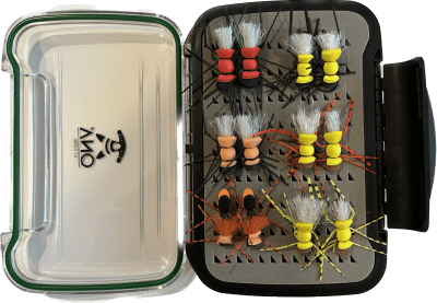 Selección Aysén 24 moscas de miedo1