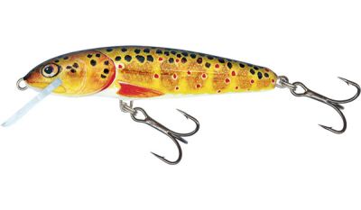 Señuelo  SALMO  Minnow Sinking TRO N91