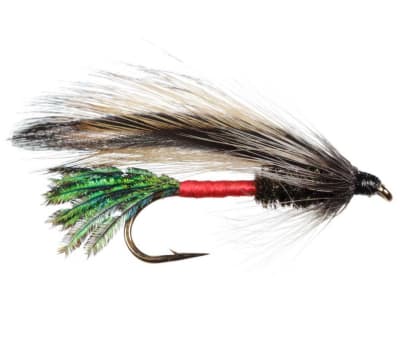 Streamer Spruce Light1