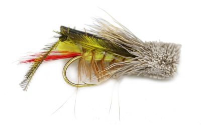 Terrestrial Daves Hopper3