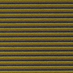 High Definition Quill 50 Strips Olive1