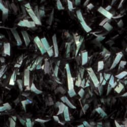 Micro Cactus Black1