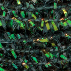 Micro Cactus Peacock1