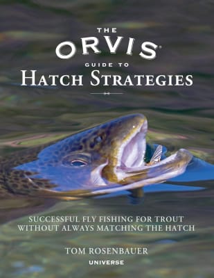 The Orvis Guide to Hatch Strategies1