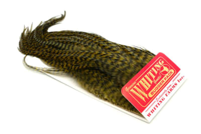 Whiting Bugger pack, Grizzly Dyed Dark Olive2