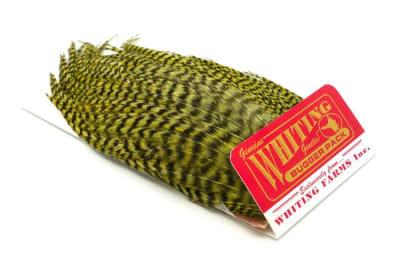 Whiting Bugger Pack, White Dyed Olive2