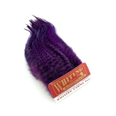 Whiting Bugger Pack White Dyed Purple2
