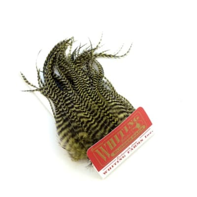 Whiting Bugger Pack Grizzly Dyed Dark Olive1