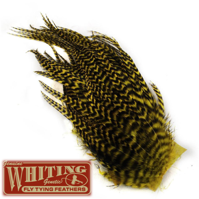 Whiting Bugger Pack, Grey Yellow1