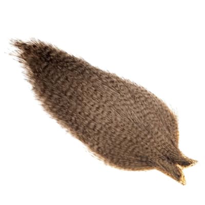 Coq de León Cape Grizzly Pardo1