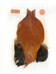 4 B´s Rooster Cape 