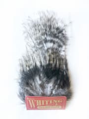 Coq de León, Tailing Pack Grizzly Pardo