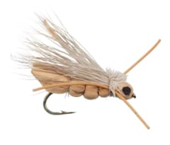 Charlie Boy Hopper-Tan