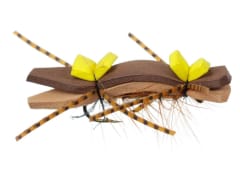 Chernobyl Ant Tan/Amarillo/Café