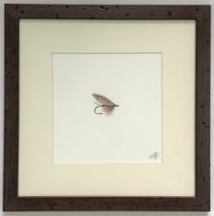 Acuarela original de María Jesús Pinto, Mosca Silver Doctor 28x28 cm.