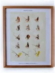 Cuadro Orvis Trut Flies