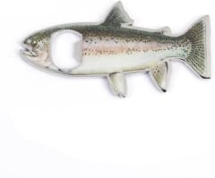 Destapador de Botellas magnético (trucha arcoiris)