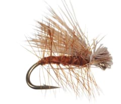 Elkhair Caddis Brown