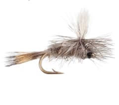 Parachute Hares Ear