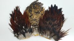 India Rooster Saddle Patch