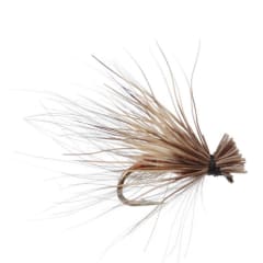 CDC Elk Caddis Brown