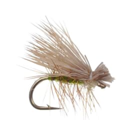 Elkhair Caddis Olive