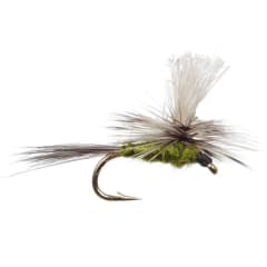 Gulpher Special Olive Parachute