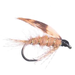 Wet March Brown