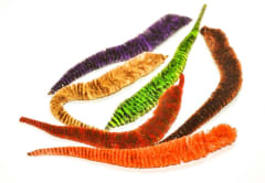 Magnum´s Variegated Mini Dragon Tail UV 2 Treated
