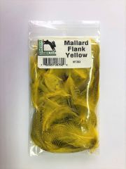 Mallard Flank, Yellow
