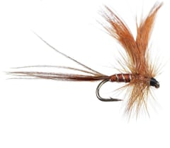 New Pattern Mayfly Brown
