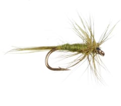 New Pattern Midge Olive
