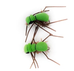 Pololo Verde de San Juan