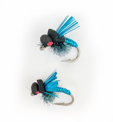 Killer Beetle Black #4